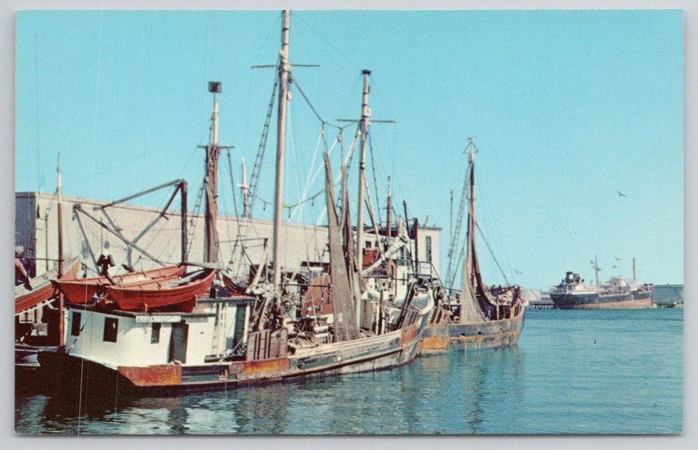 Vintage Portland Maine Harbor Scene Fishing Boats Chrome Postcard