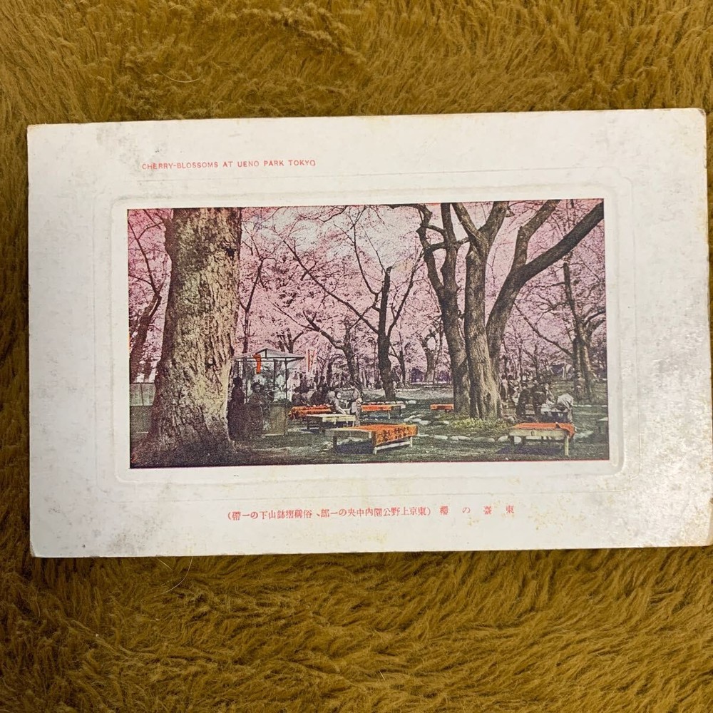 Rare prewar embossed picture postcard Ue Park cherry center with Tokyo