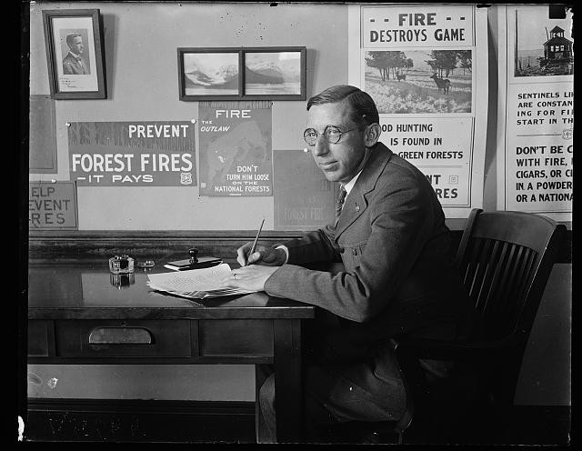 William B. Greeley 1923 U.S. Forest Service Fire Prevention Desk Posters