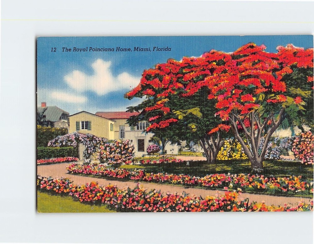 Postcard The Royal Poinciana Home Miami Florida USA