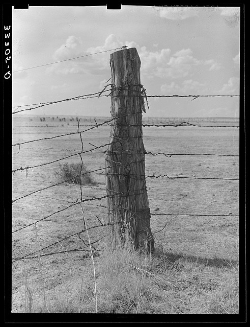 Photo:Marfa Texas 1939 Ranch Barbed Wire Fence Corner Post