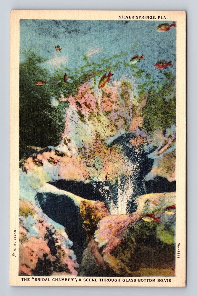 Silver Springs FL-Florida, Bridal Chamber, Glass Bottom Boats, Vintage Postcard