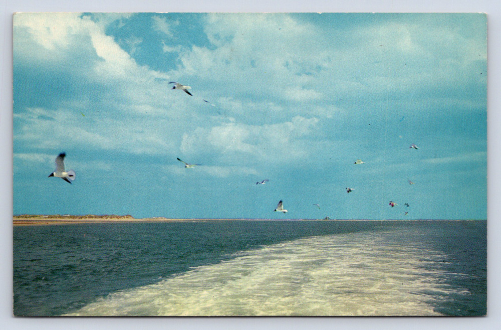 Vintage Postcard Nags Head North Carolina