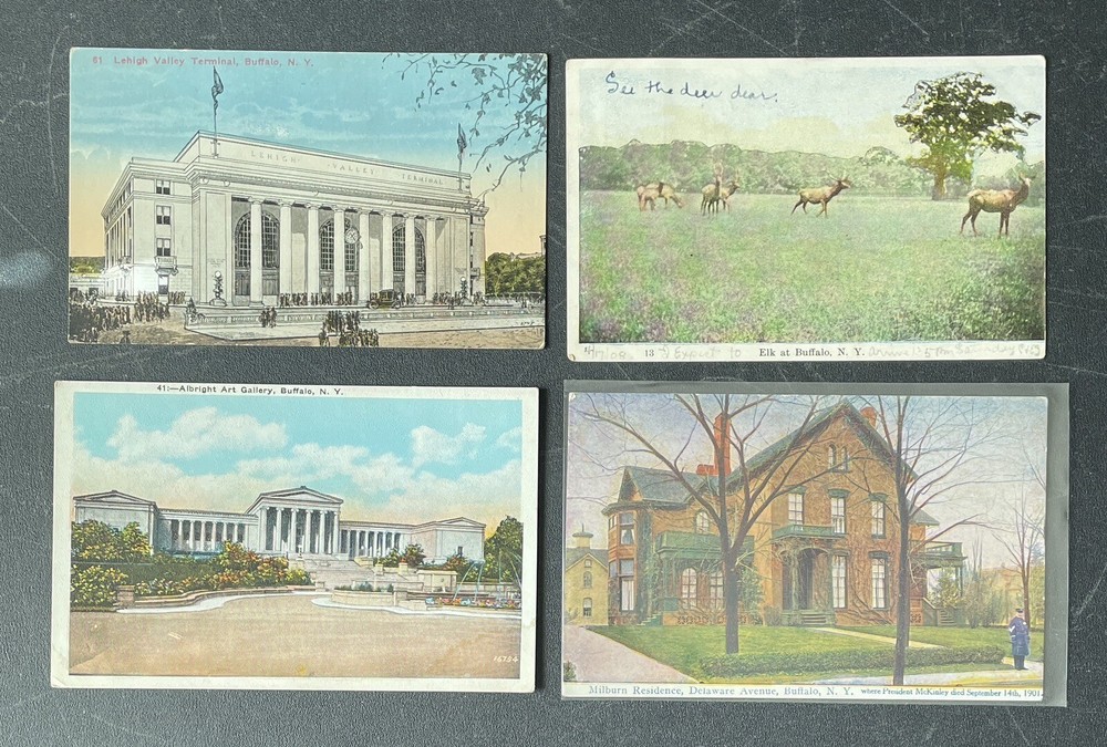 Buffalo NY Lot of 4 Vintage Postcards New York Lehigh Terminal Elk Art Gallery