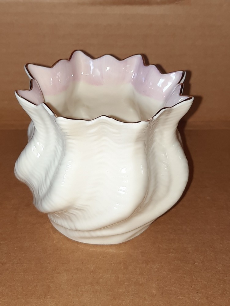 Vintage Belleek Neptune Twisted Sea Shell Vase Made In Ireland