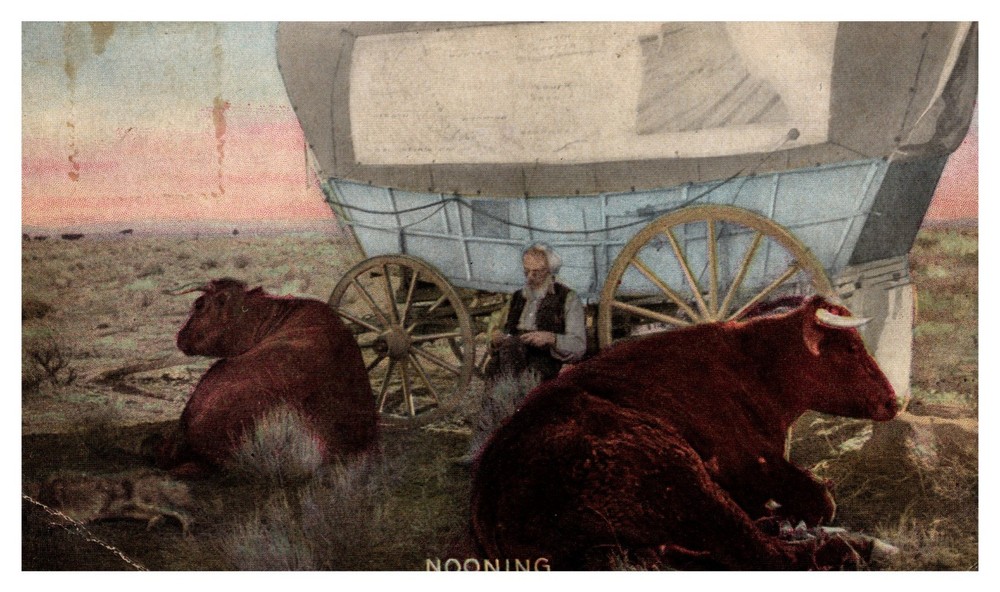 OR Oregon Ezra Meeker 