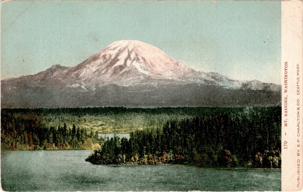 Mt. Rainier, Washington, E. P. Charlton & Co., Seattle Postcard