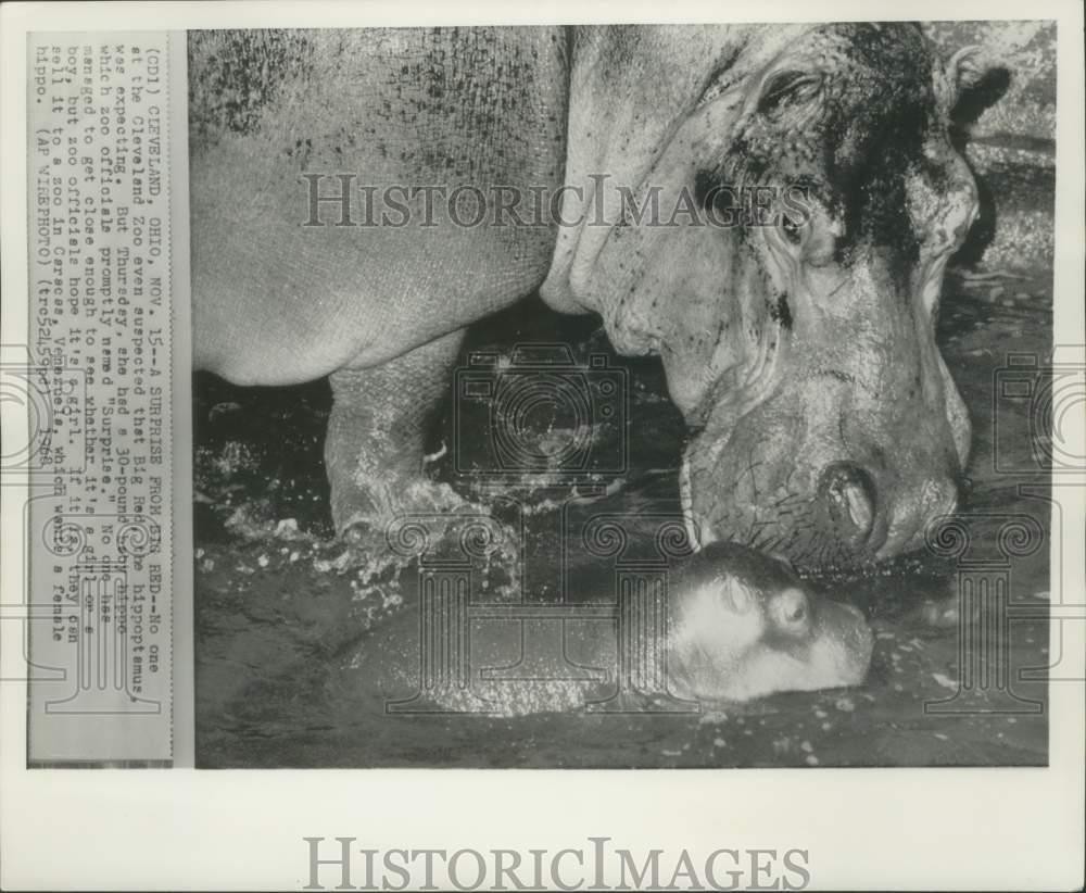1968 Press Photo 