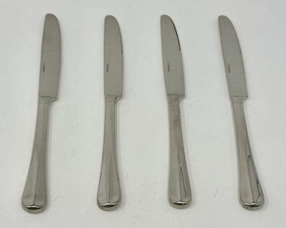 Oneida Compose Set of 4 Dinner Knives 9 1/2