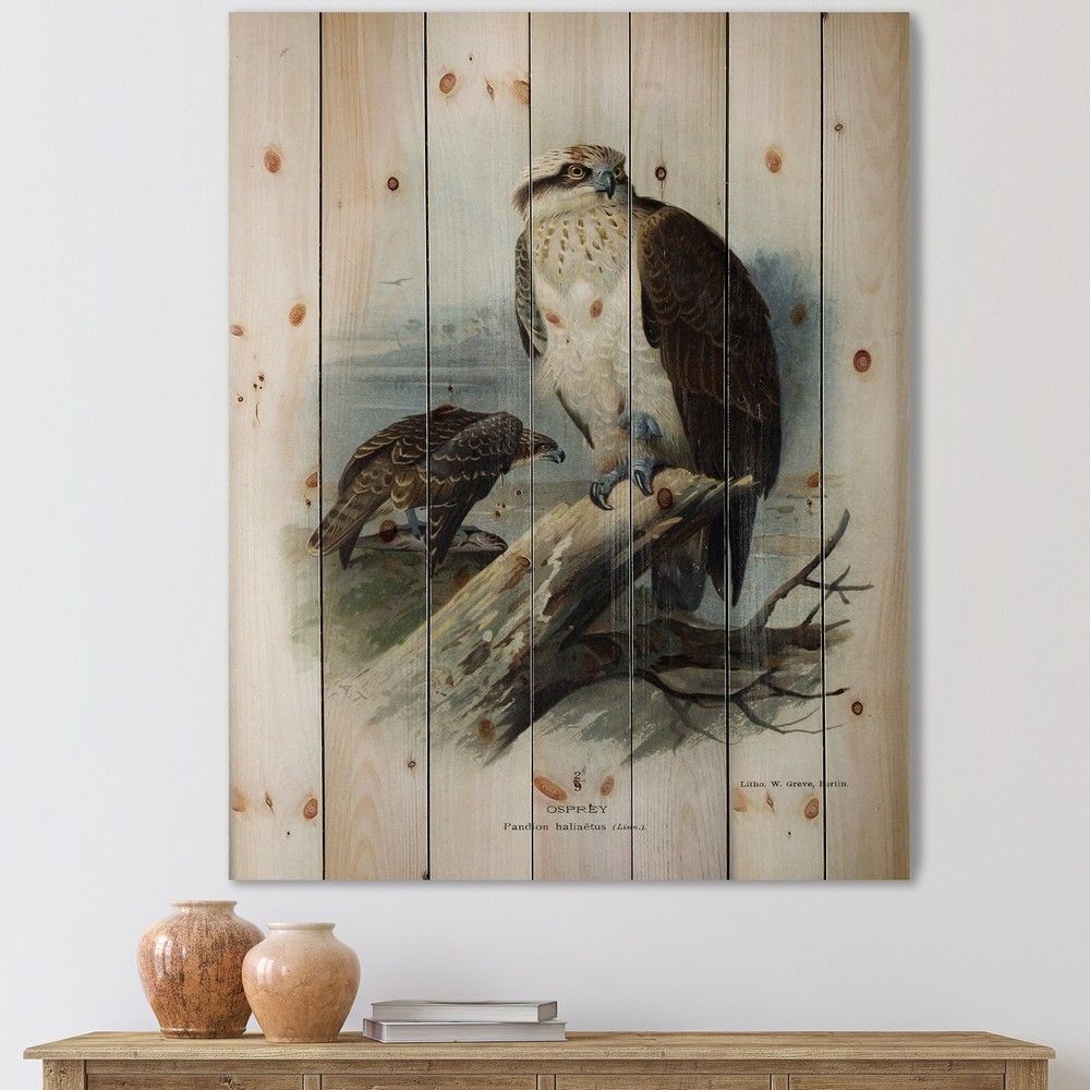 Designart 'Vintage Bird Life VI' Traditional Print on