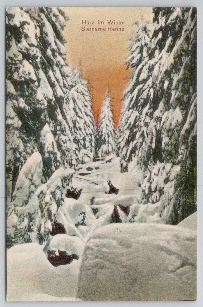 Harz Winter Postcard Steinerne Renne Snow Pines Harzklub Wernigerode c1910