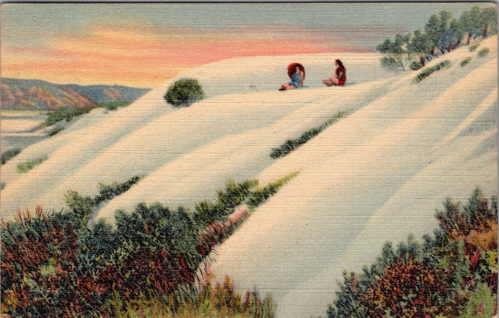 The Great White Sands  Alamogordo New Mexico NM Postcard