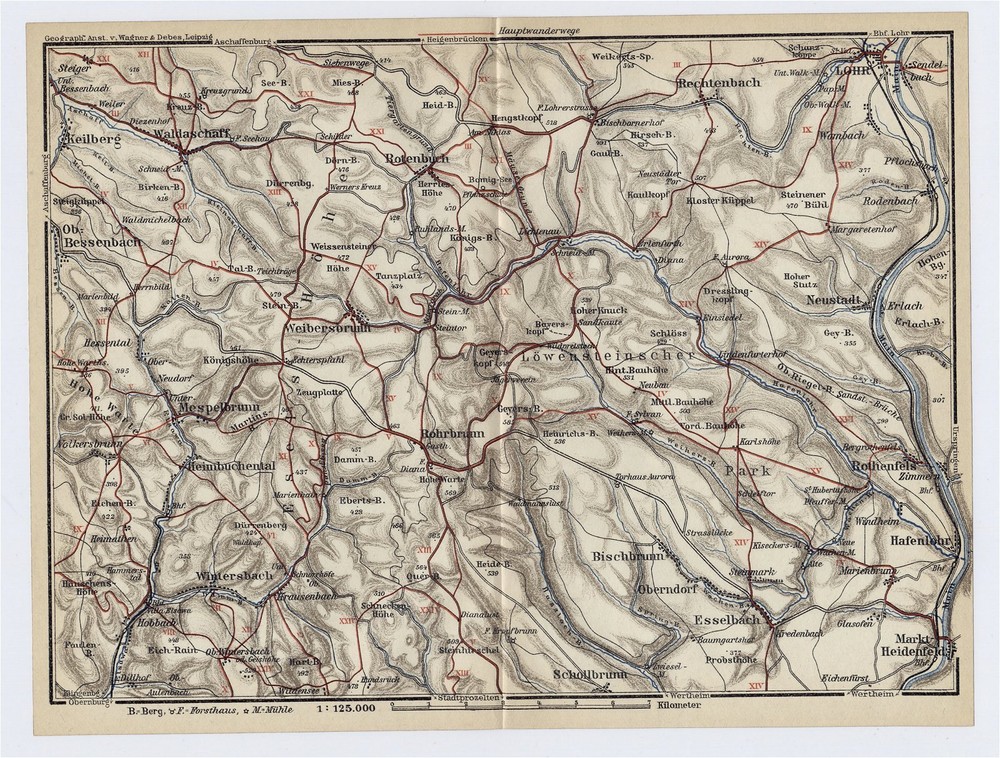 1929 Vintage Map Of Fürstlich Löwensteinscher Park Bavaria Germany