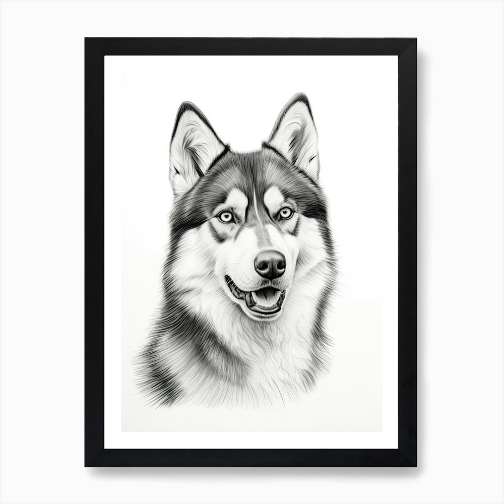 Siberian Husky Line Drawing Framed Wall Art Canvas Print