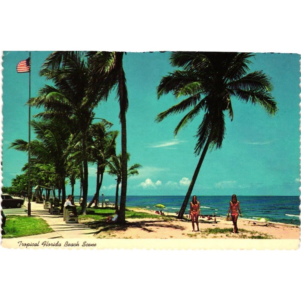 Vintage FL Tropical Beach Scene Postcard International CFI-31 Unposted Deckle