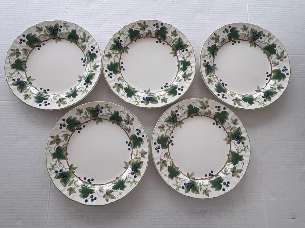 MIKASA Vintage Chelsea Vine Dinner Plates- Set of 5