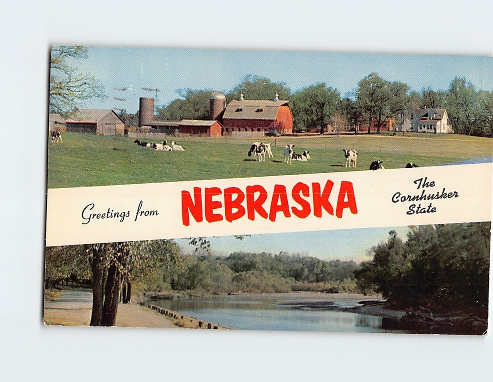 Postcard Greetings from Nebraska The Cornhusker State