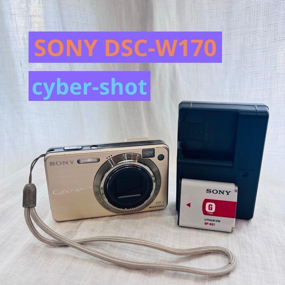 SONY Cyber-shot DSC-W170 Compact Digital Camera Tested Working  used Japan