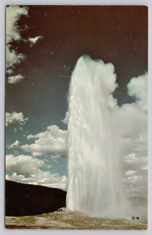 Old Faithful Geyser Yellowstone Park Curteichcolor Vintage Postcard Haynes