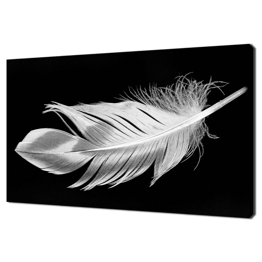 Elegant Beautiful White Feather Wall Art Canvas Unframed Print Art