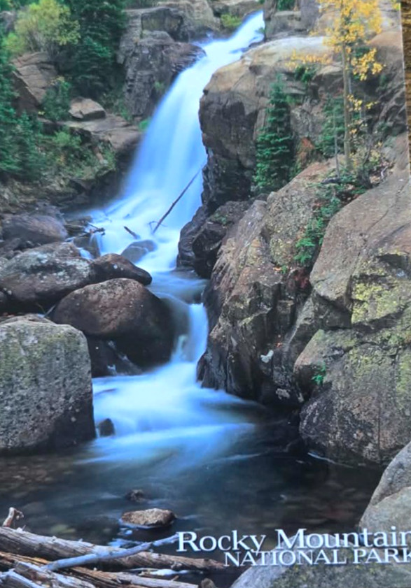 Alberta Falls on Glacier Creek Rocky Mountain National Park Colorado Postcard