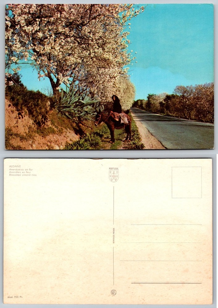 Algarve Portugal Blossomed Almond Trees Donkey Rider Vintage Postcard