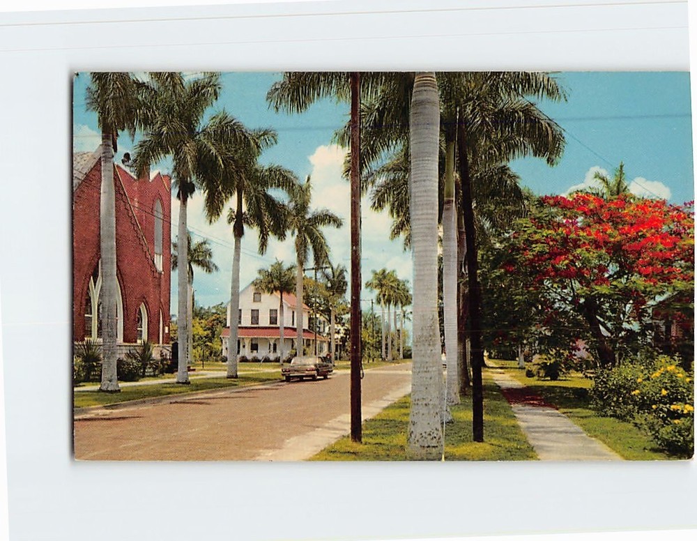 Postcard Florida Trees Residential Avenue in Tropical Punta Gorda Florida USA
