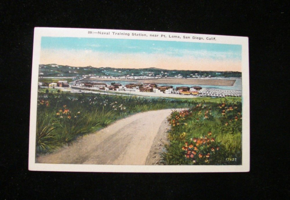 Vintage Postcard 