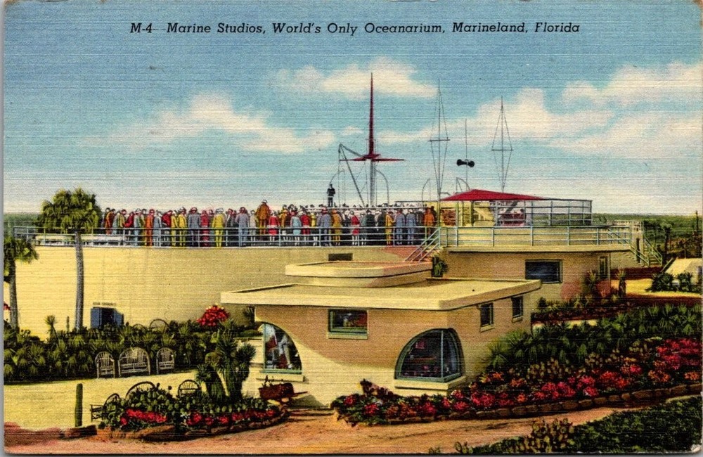1953 Marineland Florida Marine Studios World's Only Oceanarium Linen Postcard