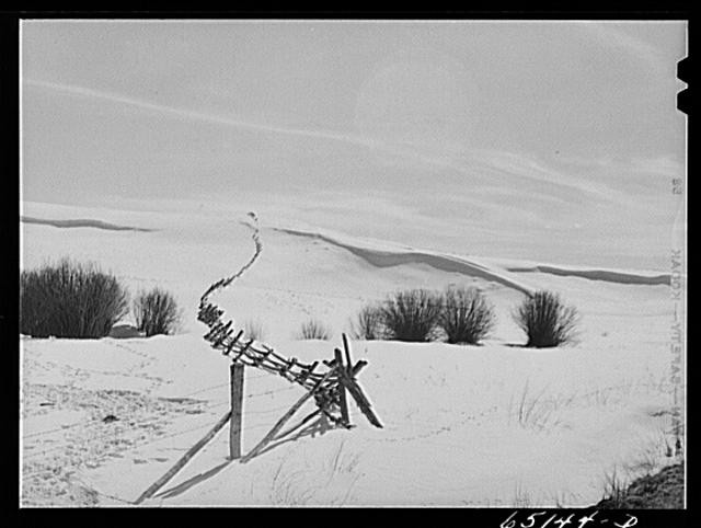 Photo:Beaverhead County Montana 1942 Rail Fence in Snow John Vachon FSA