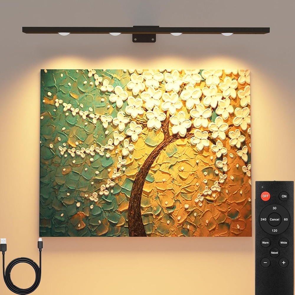 Battery Picture Light Rechargeable 6000mAh-Black, Remote Painting Light
