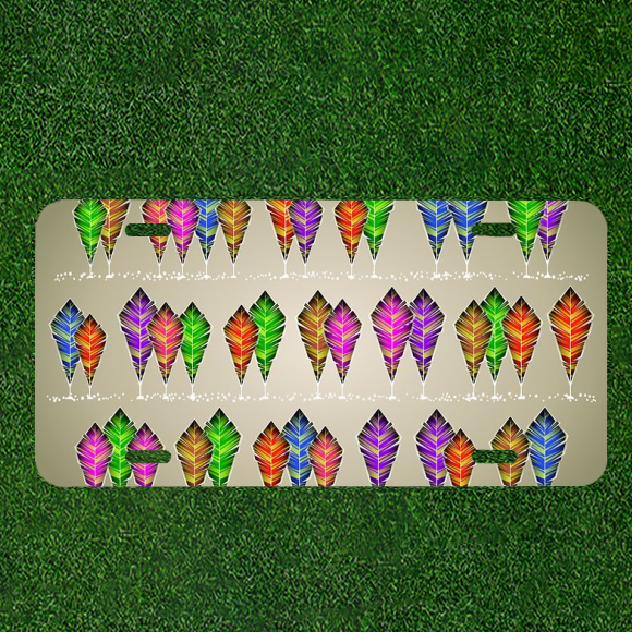 Custom Personalized Car License Plate With Abstract Background Colorful