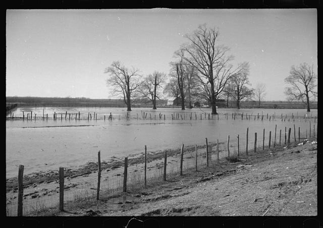 The Bessie Levee augmented,1937 flood,Near Tiptonville,Tennessee,TN,FSA,8