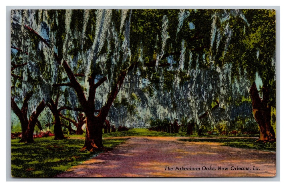 New Orleans LA The Pakenham Oaks 