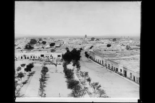 Queretaro,buildings,roads,streets,trees,Mexico,Detroit Publishing Company,1880