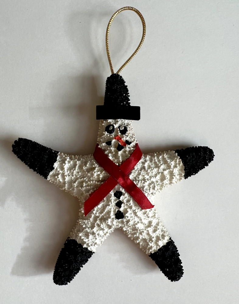 Christmas Ornament Hand Painted Real Starfish 5