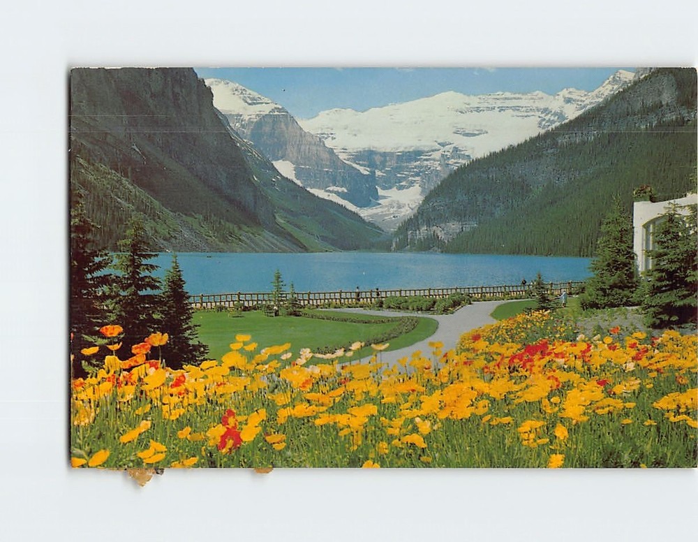 Postcard Lake Louise and Victoria Glacier Banff National Park Canadian Rockies