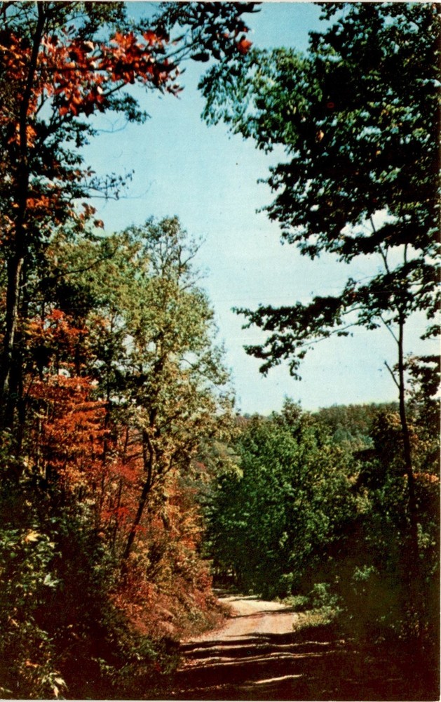 Little Shepherd Trail, Harlan, Whitesburg, Cumberland, Kentucky, US Postcard