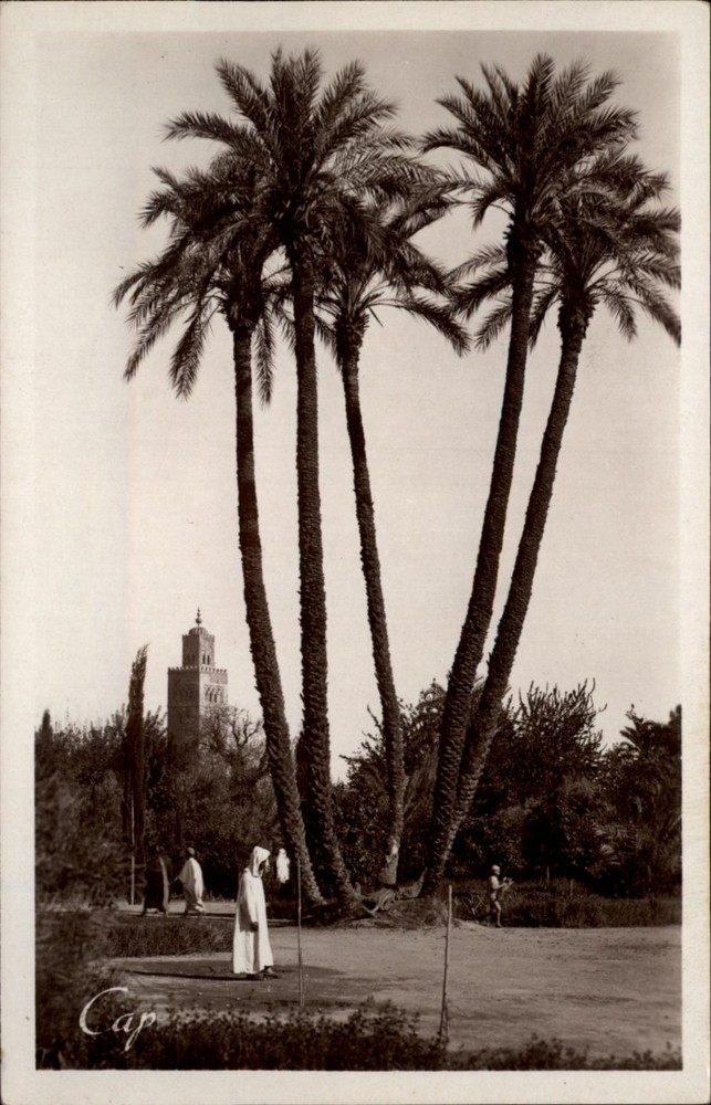 RPPC Marrakech Les Jardins et la Koutoubia vintage postcard y882