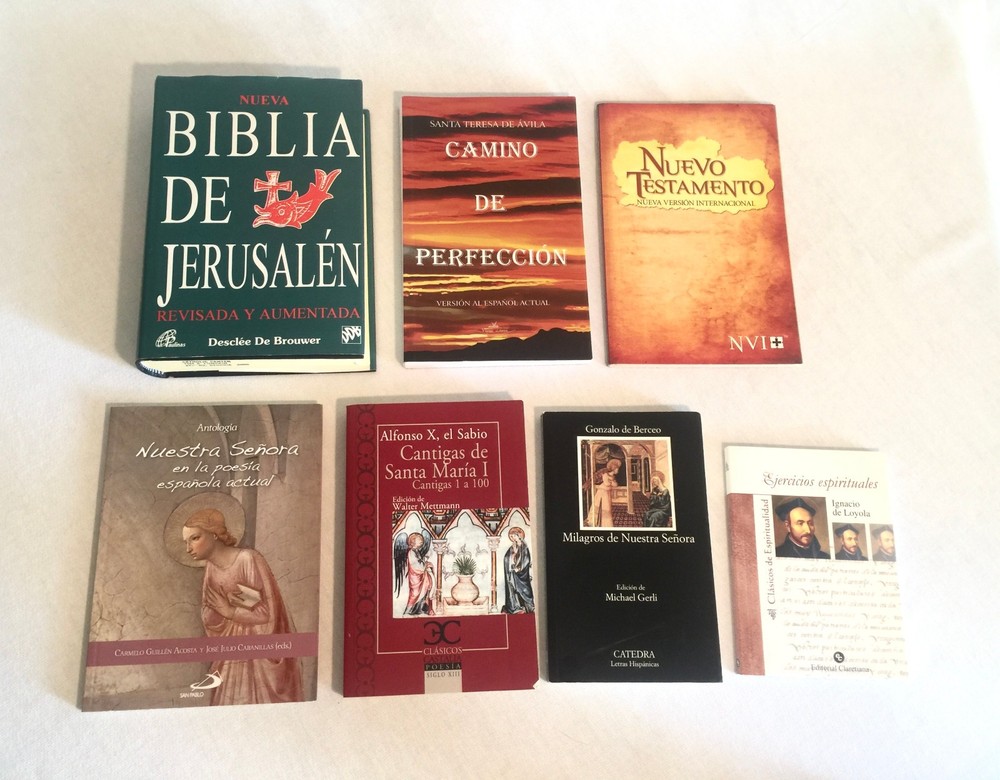 LOT of 7 SPANISH LANGUAGE RELIGIOUS/SPIRITUAL BOOKS Catholic Saints Mary