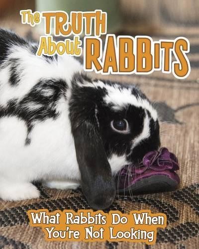 Mary Colson The Truth about Rabbits (Hardback) Pets Undercover!Another great item from Rarewaves USA | Free delivery!