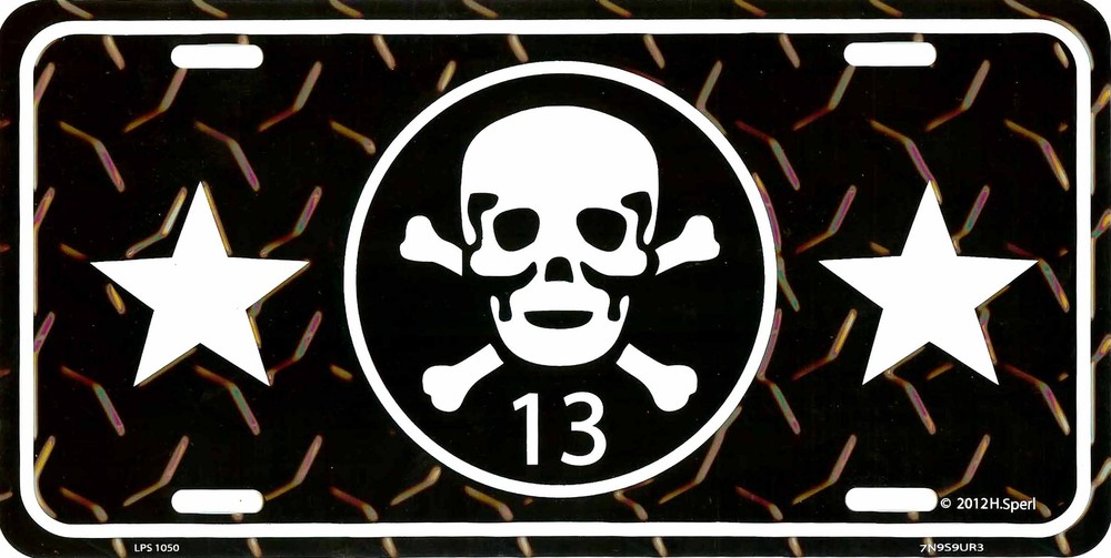SKULL & CROSSBONES 13 METAL LICENSE PLATE AUTO TAG EMBOSSED NUMBER PLATE #1050