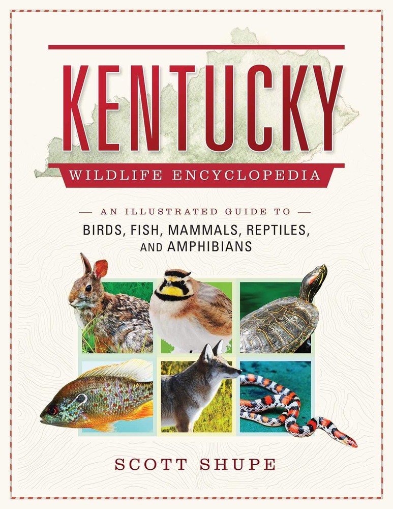 Kentucky Wildlife Encyclopedia: An Illustrated Guide to Birds, Fish, Mammals...