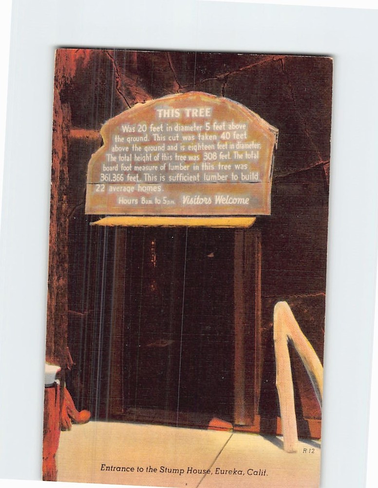 Postcard Entrance to the Stump House Eureka California USA