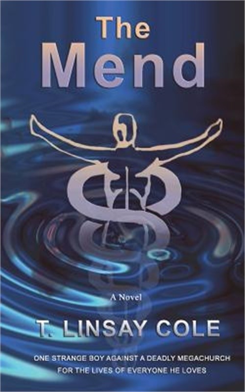 The Mend (Paperback or Softback)