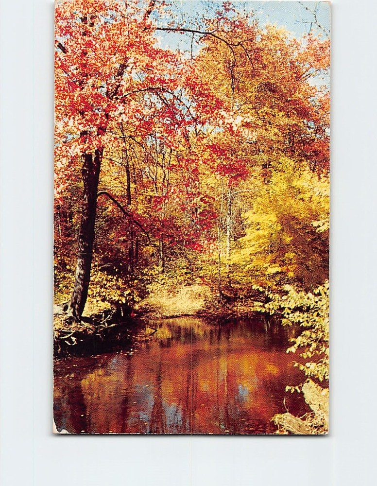 Postcard Autumn River Nature Scene