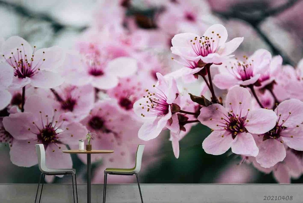 3D Cherry Blossom Plant Close-up Wall Murals Wallpaper Murals Wall Sticker