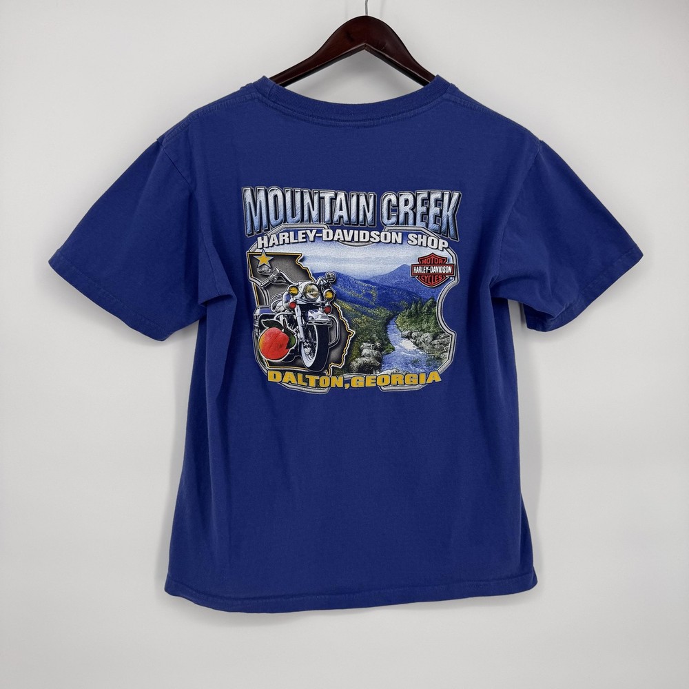 Harley-Davidson Shirt Mens Large Blue Mountain Creek Dalton Georgia Graphic Tee