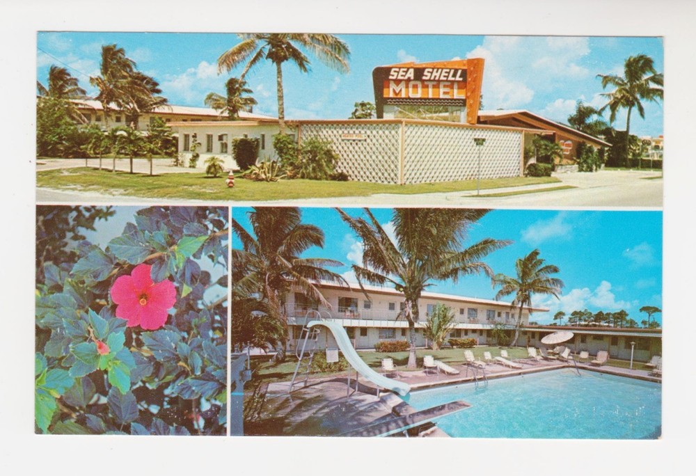 SEA SHELL MOTEL, NAPLES, FLA. – JESTERS INCORPORATED –Closed 2018-1960s Postcard