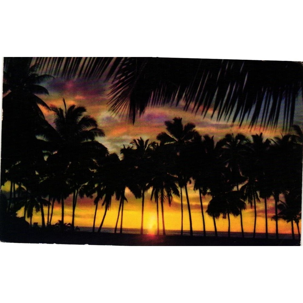 Vintage 1954 Hawaii Sunset Through Palms Postcard Nani Li'i Mirro-Krome Honolulu